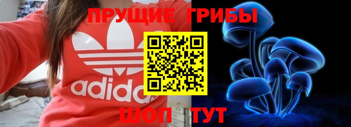 Галлюциногенные грибы GOLDEN TEACHER Отрадный