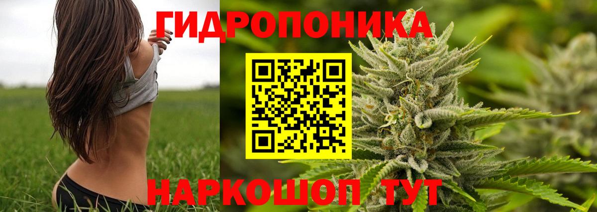 Отрадный  Конопля VHQ  Марихуана сатива  Вход с VPN  МАРИХУАНА тримм  Бошки Шишки ГИДРОПОН 